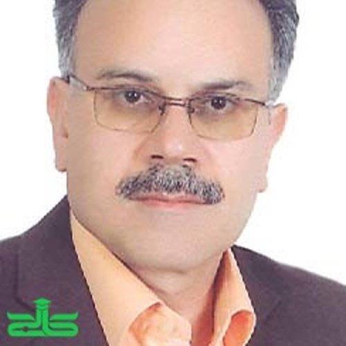 محمد‌‌سلمانی