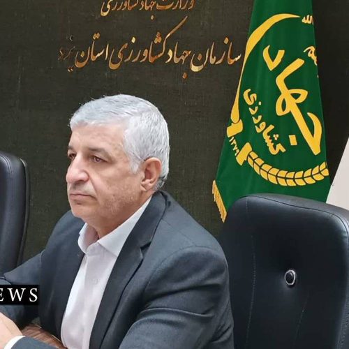 مصطفی‌‌برغمدی